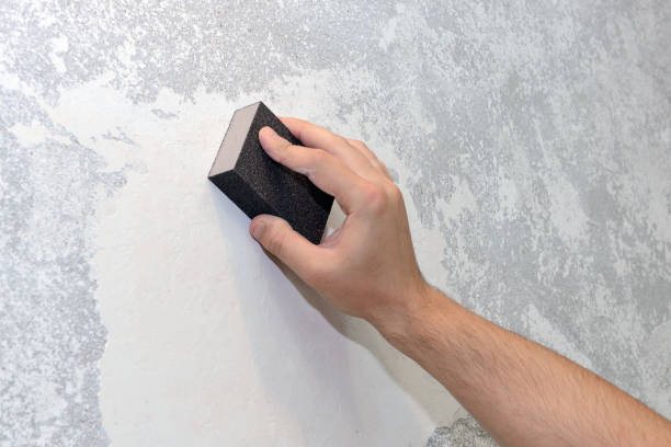 Best Mold Documentation for Insurance Claims  in St Stephen, SC