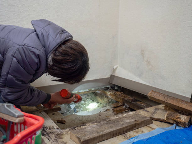 Best Crawl Space Mold Remediation  in St Stephen, SC