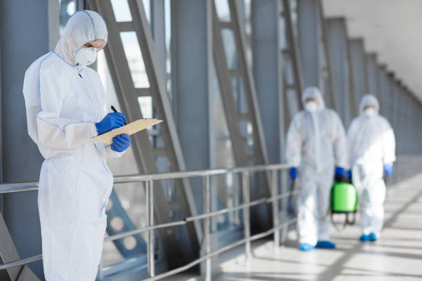 Professional Mold Removal in St Stephen, SC