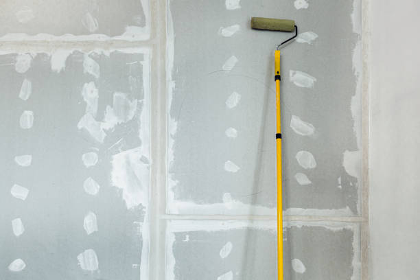 Best Biohazard Mold Removal  in St Stephen, SC