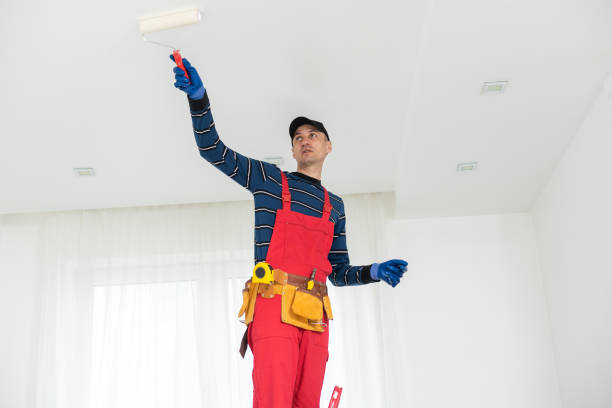 Best Mold Prevention Services  in St Stephen, SC